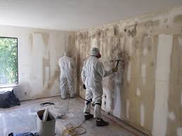 Best Black Mold Removal  in Glenville, WV